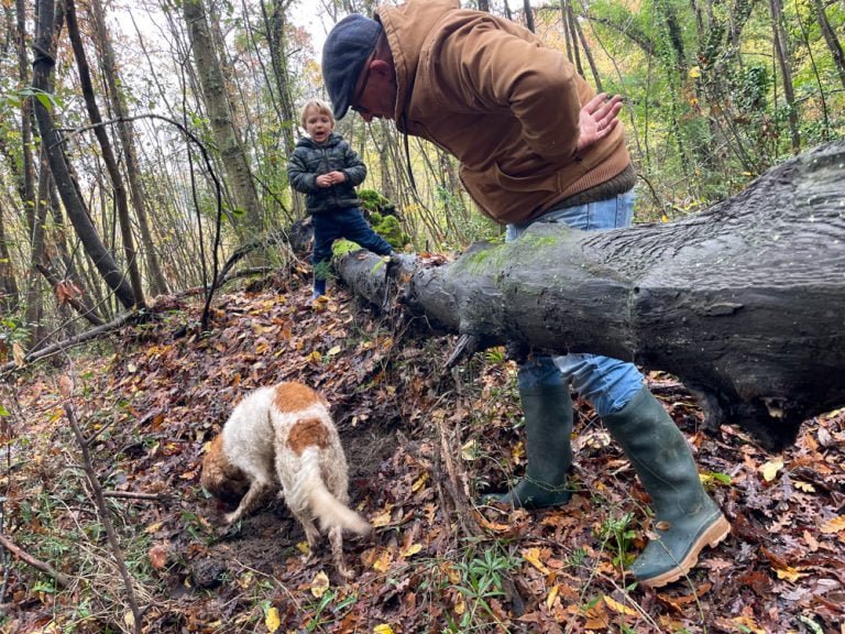 Cosa Fare E Cosa Vedere A San Miniato Il Borgo Toscano Del Tartufo