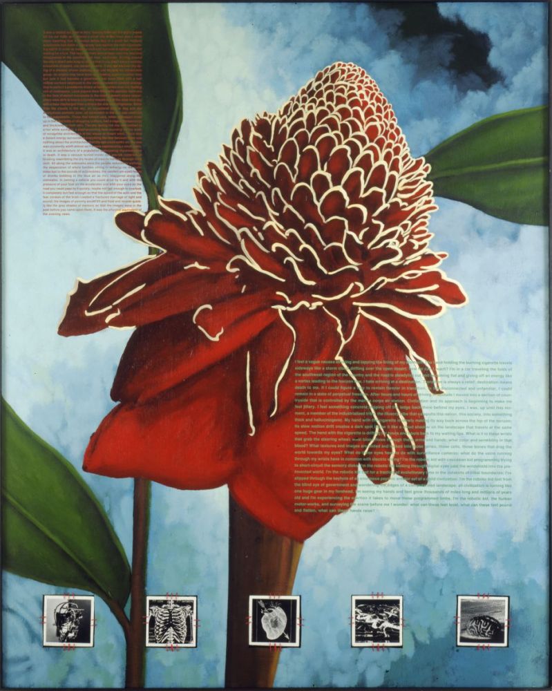 I Feel a Vague Nausea, David Wojnarowicz