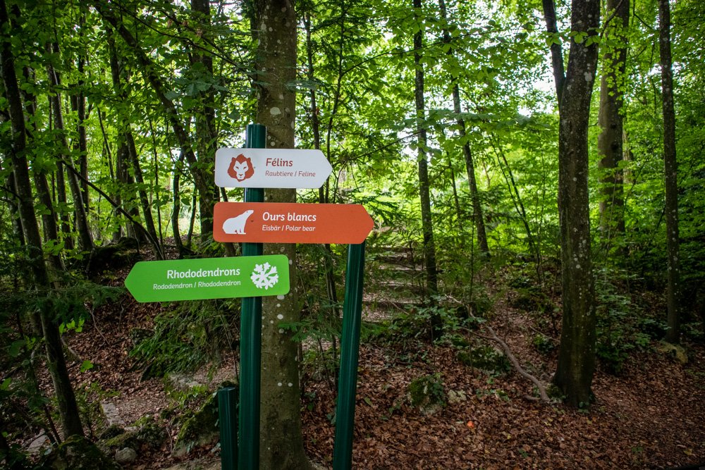 Percorso nel parco dello Zoo di Mulhouse, in Alsazia