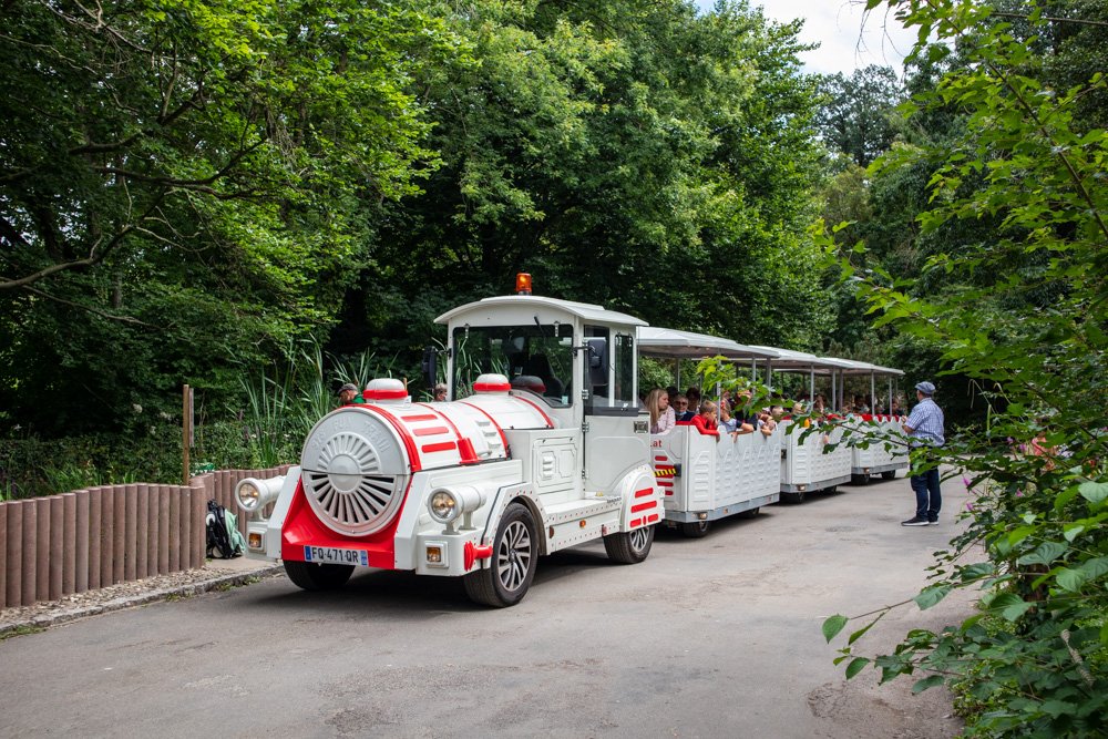 Il trenino elettrico dello Zoo di Mulhouse, in Alsazia