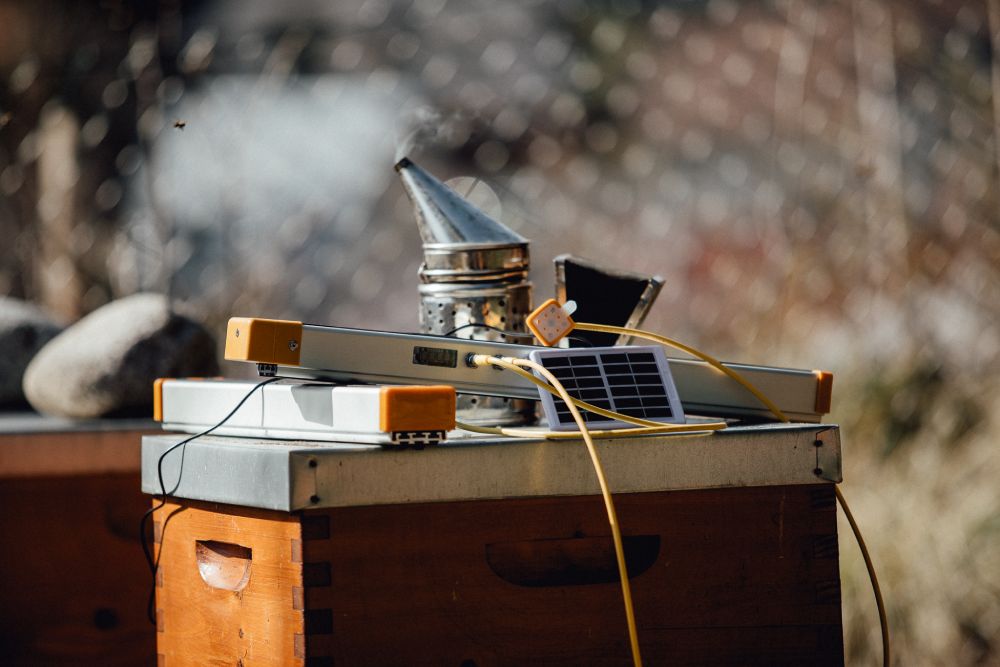 Sensori Hive Tech in un alveare 3Bee, foto Marian Holub