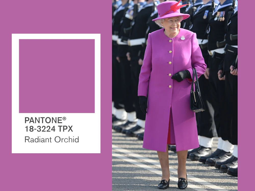 La Regina Elisabetta vestita di viola, colore Pantone Radiant Orchid