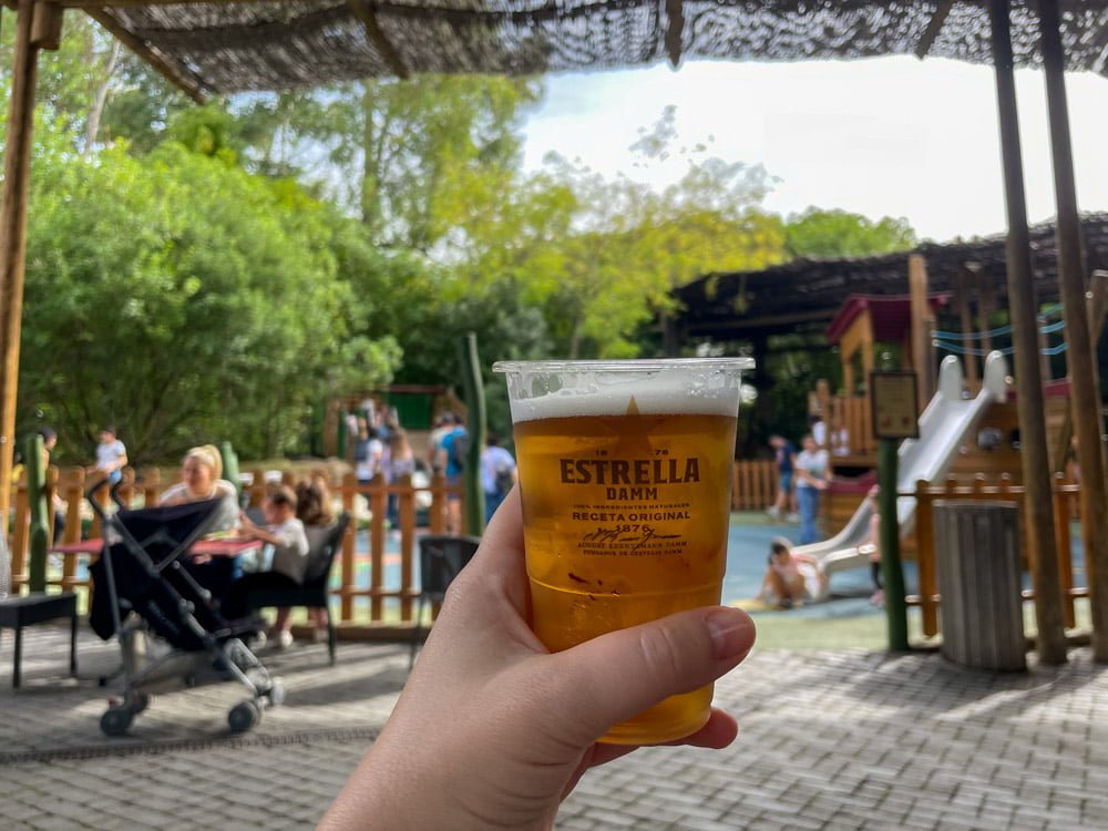 Birra al bar davanti al parco giochi del BIOPARC Valencia