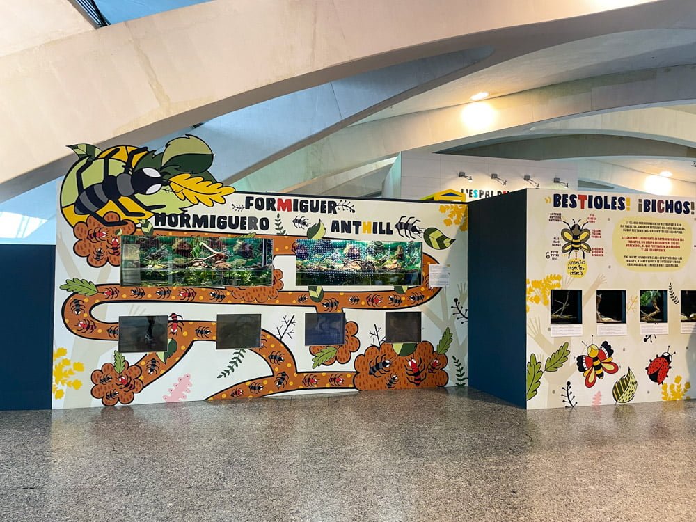 Esposizione di insetti al Museo delle Scienze di Valencia