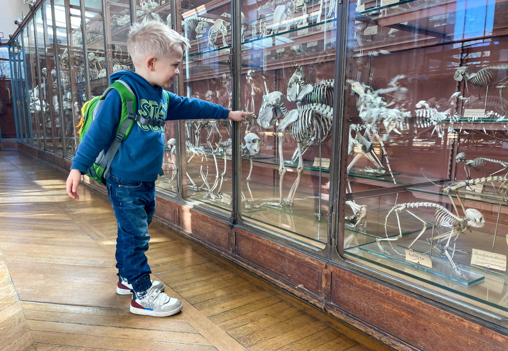 Figlio di Paola Bertoni alla Galleria di Paleontologia e Anatomia Comparata di Parigi