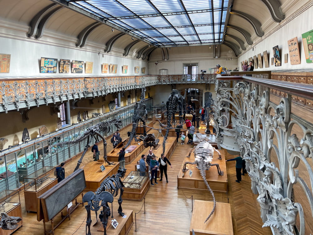 La sala dei dinosauri della Galleria di Paleontologia e Anatomia Comparata di Parigi vista dall'alto