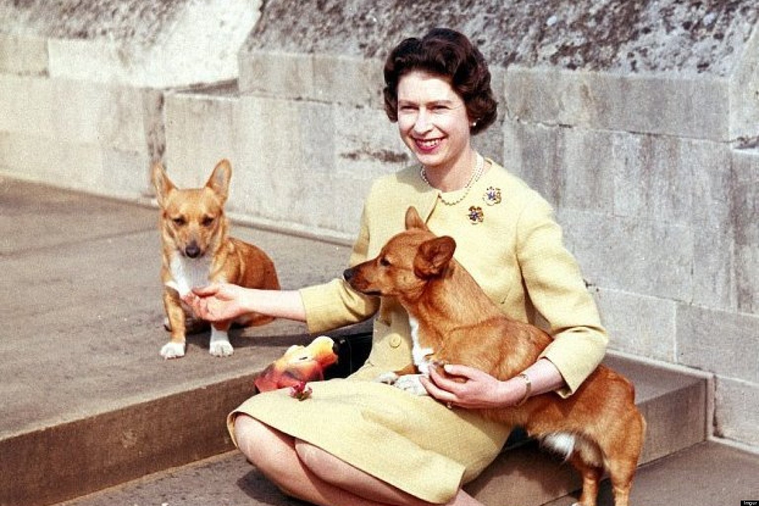 Risultato immagini per queen elisabet e i suoi cani"