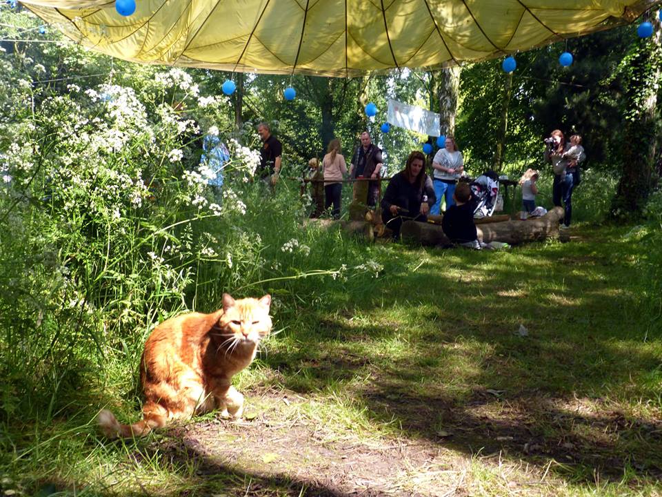 Vernon, il 'resident cat' del campeggio The Secret Garden
